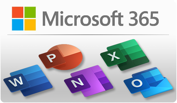 The Microsoft 365 app 